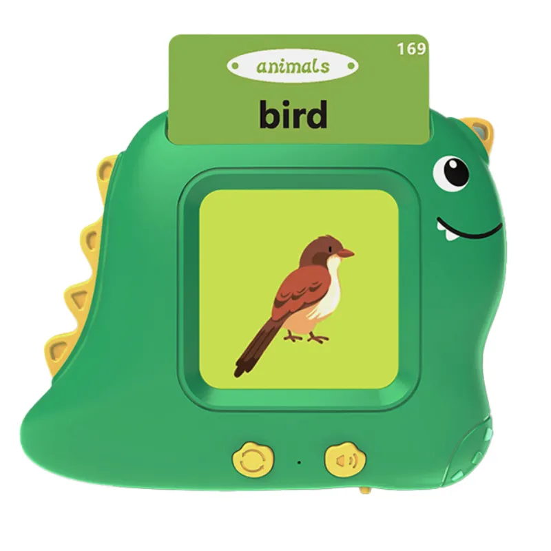 Dinosaur Flash Card Machine