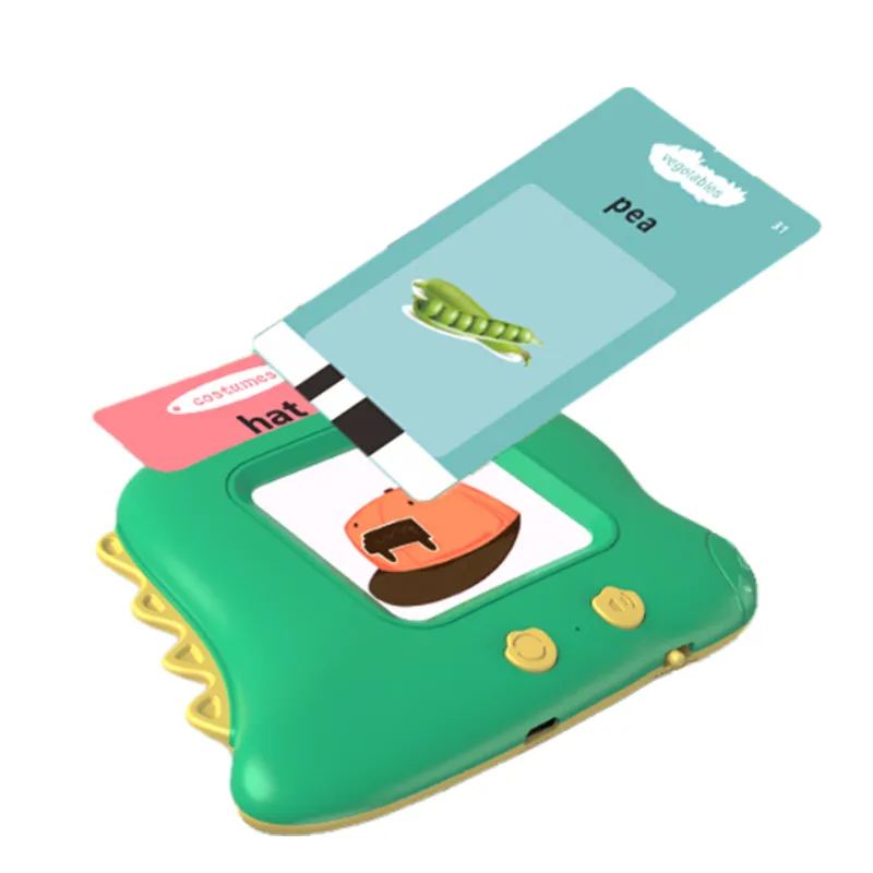 Dinosaur Flash Card Machine