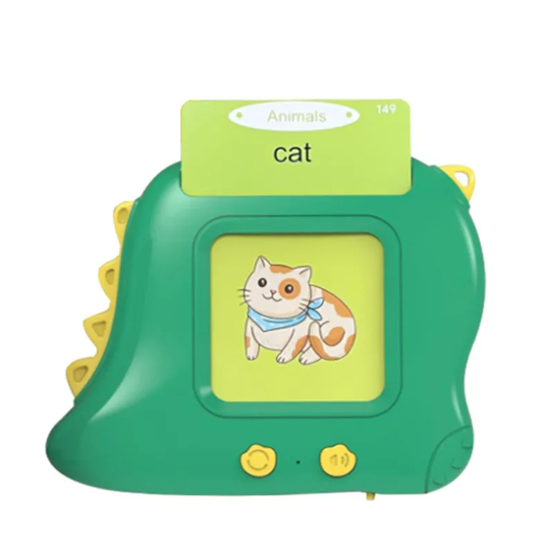 Dinosaur Flash Card Machine