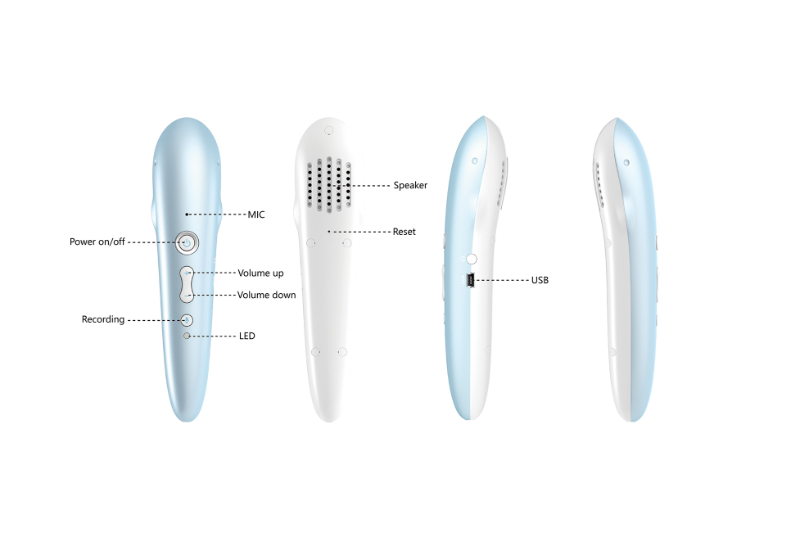 Whale Reading Pen/Whale Talking Pen