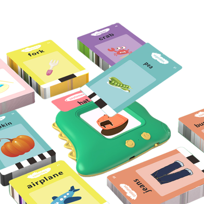 Dinosaur Flash Card Machine