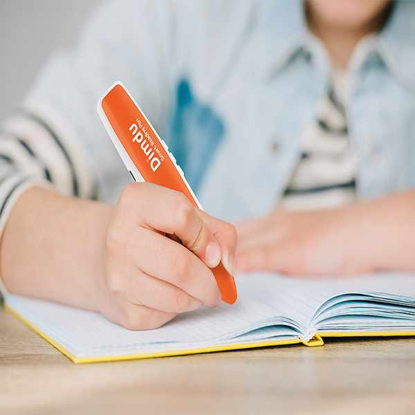 Preschooler building phonemic awareness with Dimdu smart point-reading pen